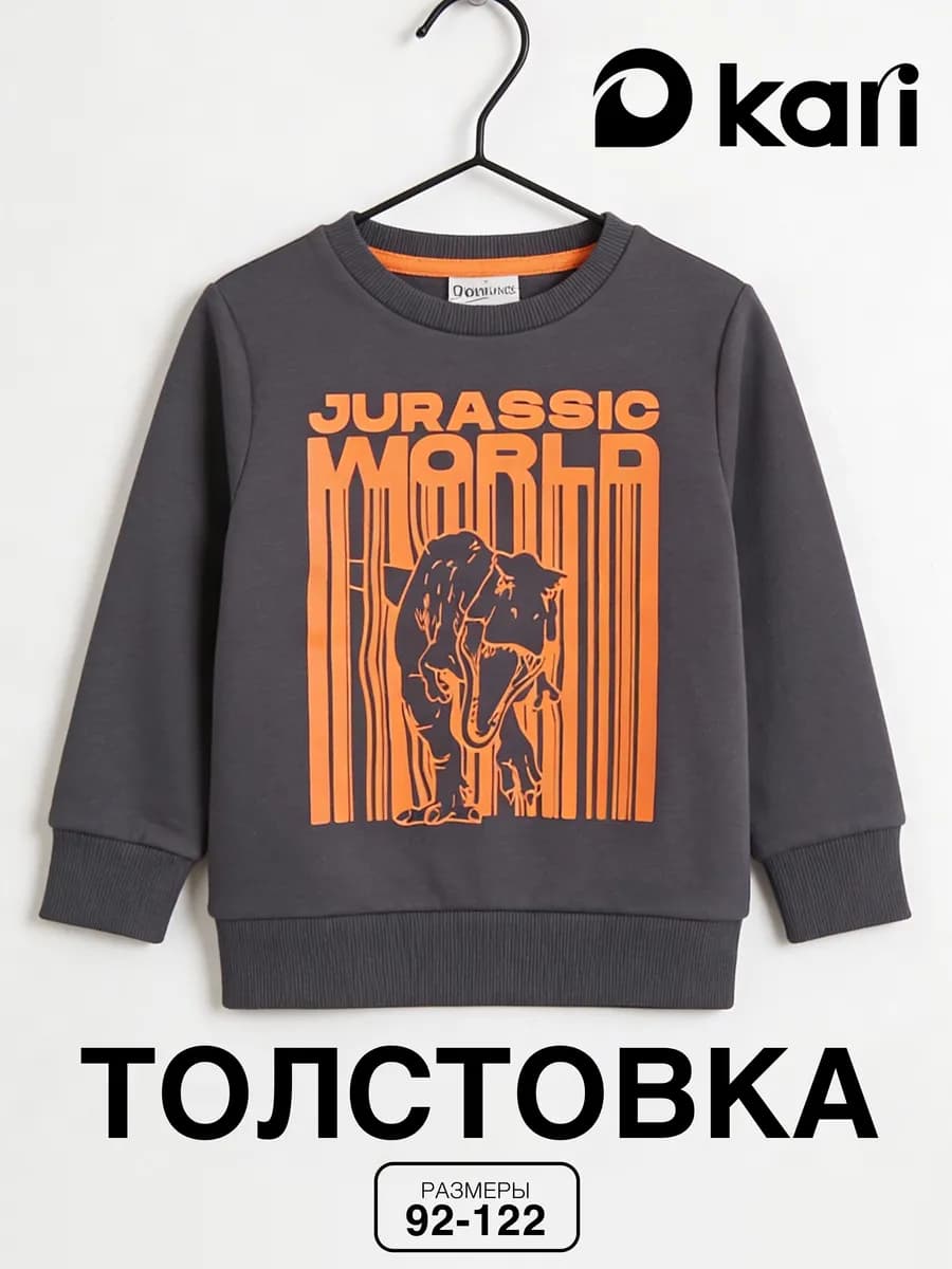 Свитшот для мальчика с начесом серый