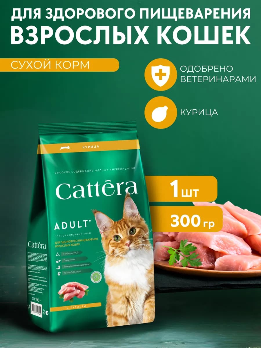 Корм для кошек сухой полнорационный для здорового пищеварени…