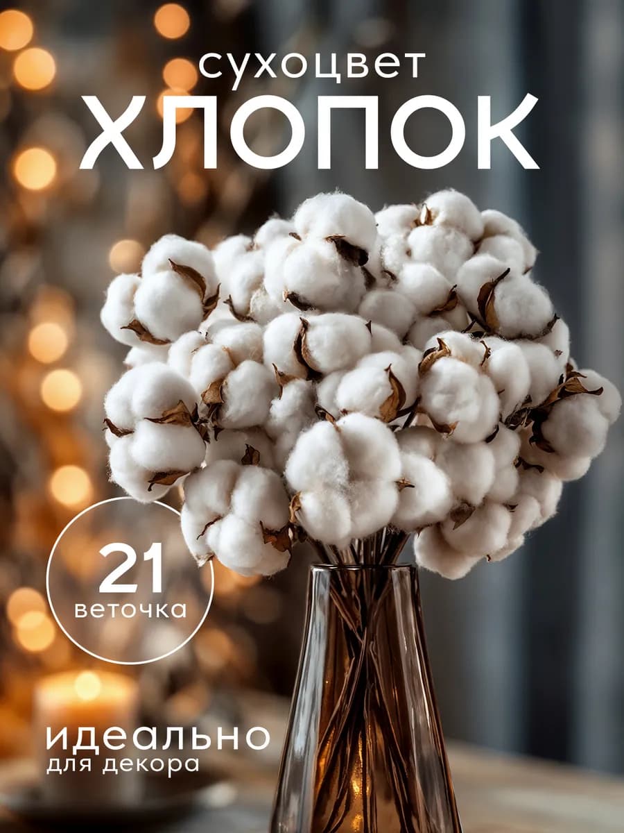 Хлопок букет сухоцветов для декора и интерьера