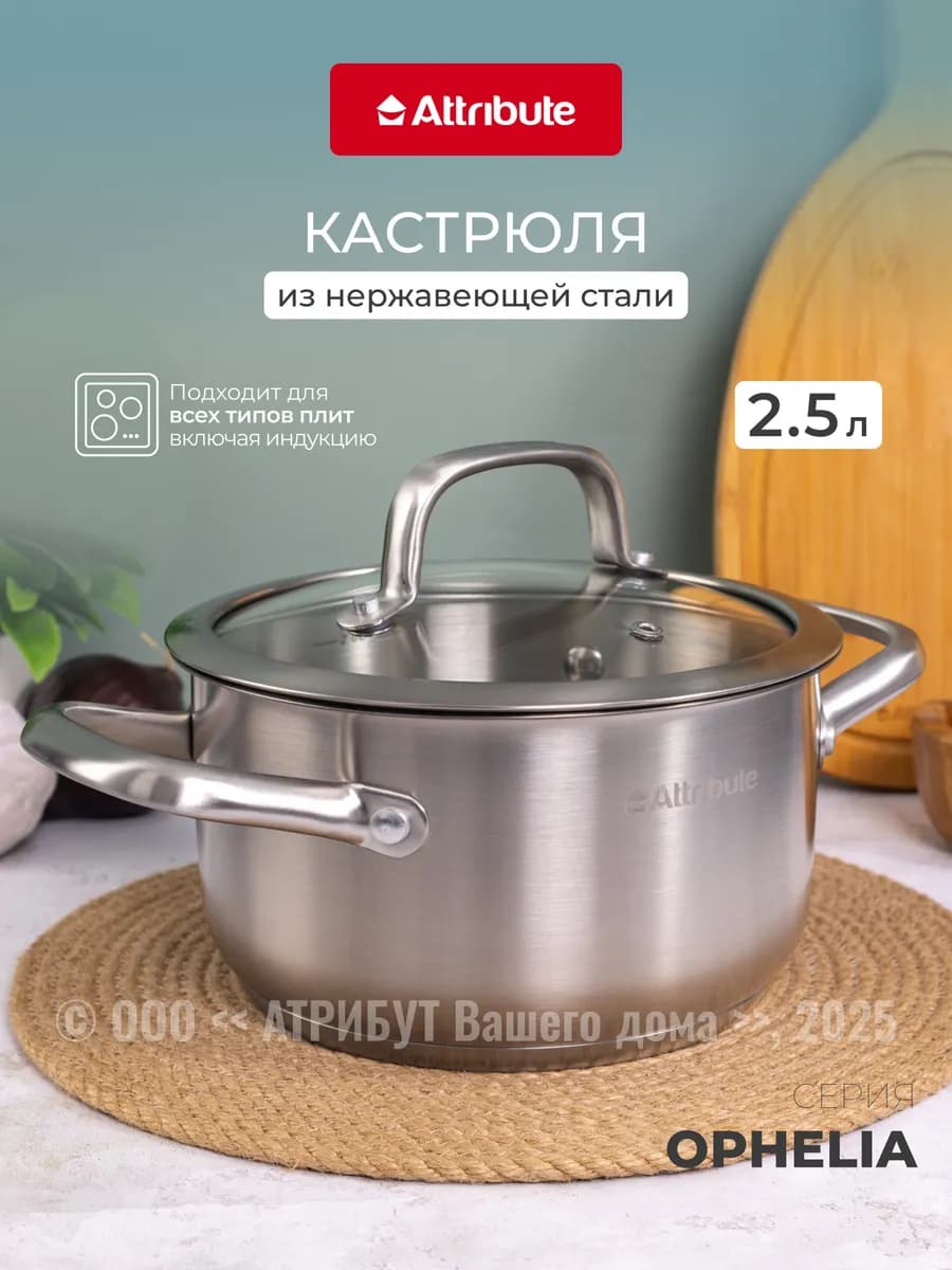 Кастрюля для индукционной плиты OPHELIA 2.5 л с крышкой