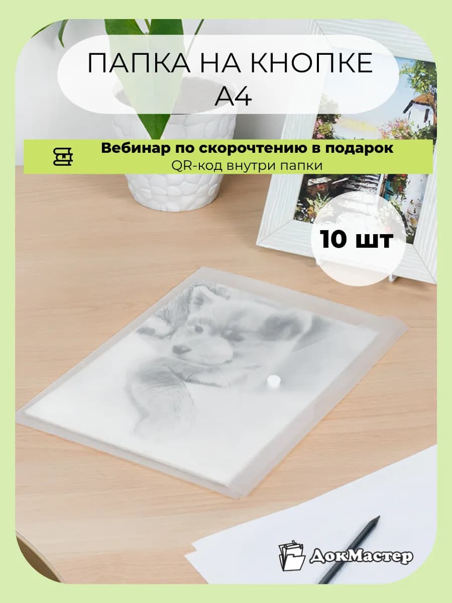 Папка-конверт на кнопке для документов и бумаг А4-10 шт