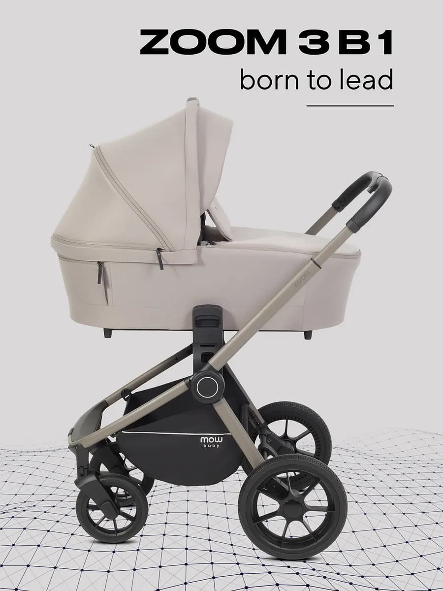 Коляска для новорожденных 3 в 1 Zoom