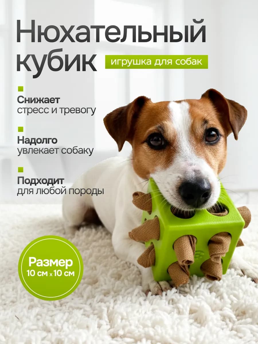 Игрушка для собак интерактивная нюхательный кубик