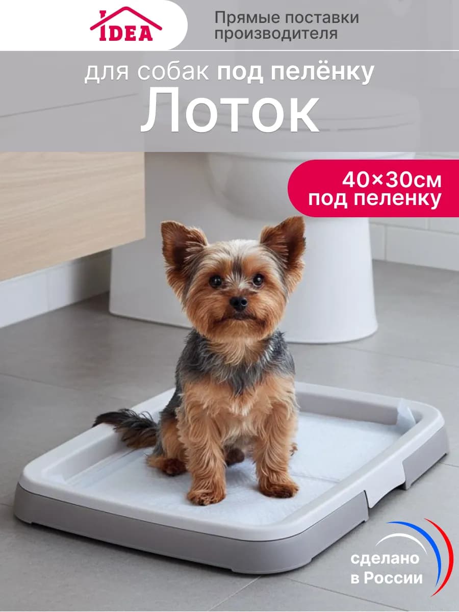 Лоток для собак