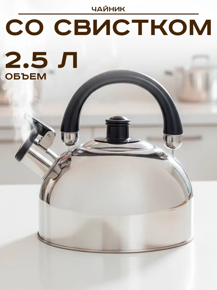 Чайник для плиты стальной 2,5 л