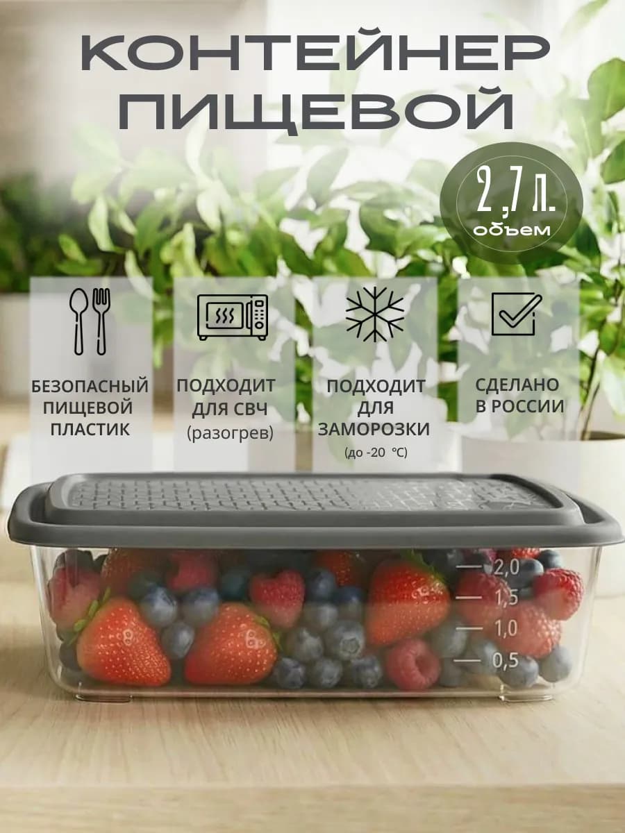 Контейнер для еды пластиковый с крышкой на работу