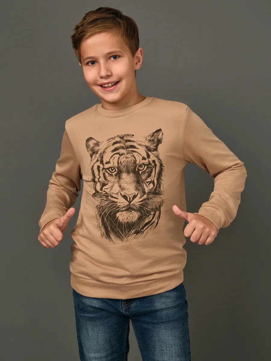 Толстовка свитшот без начеса с принтом