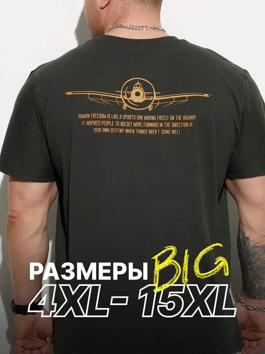 Футболка мужская большие размеры с принтом