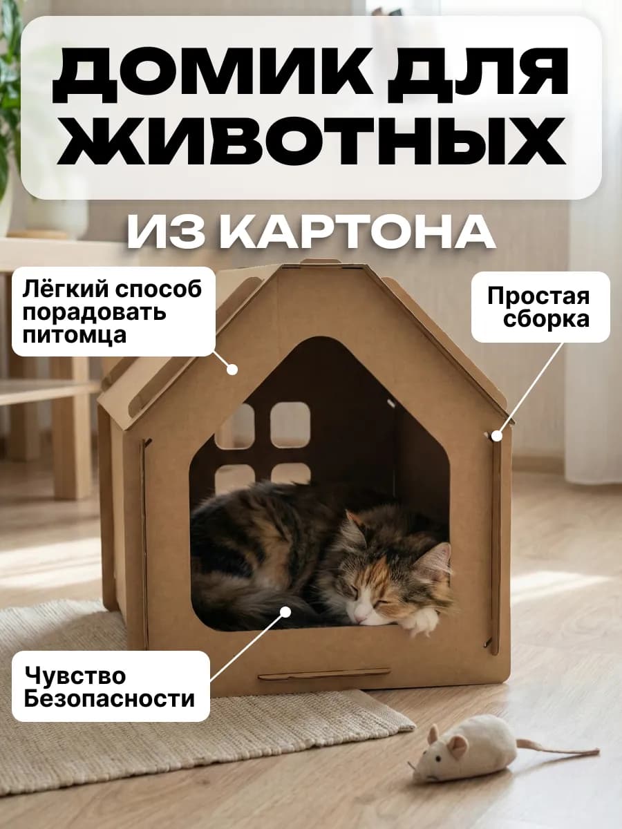 Домик для кошек картонный, лежанка для животных. Коробка