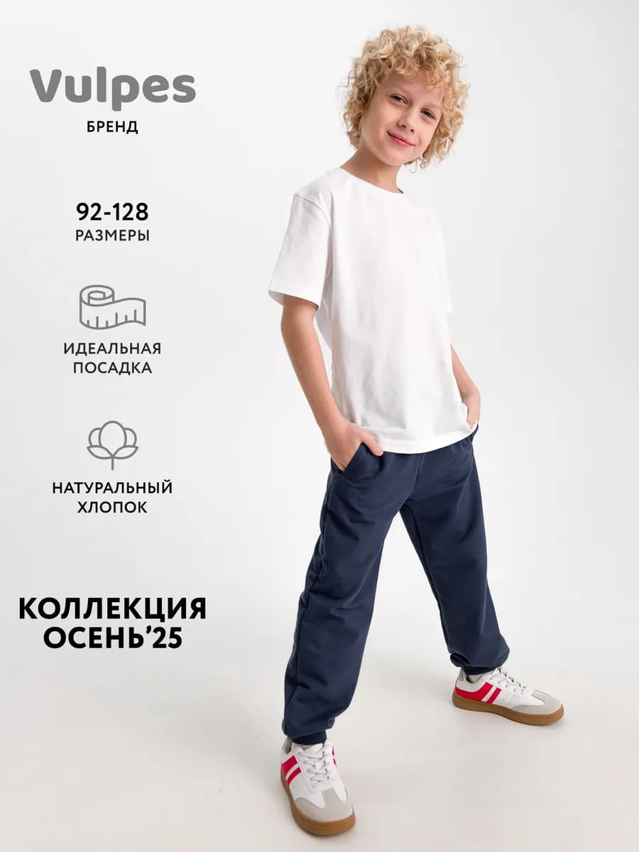 Брюки джоггеры
