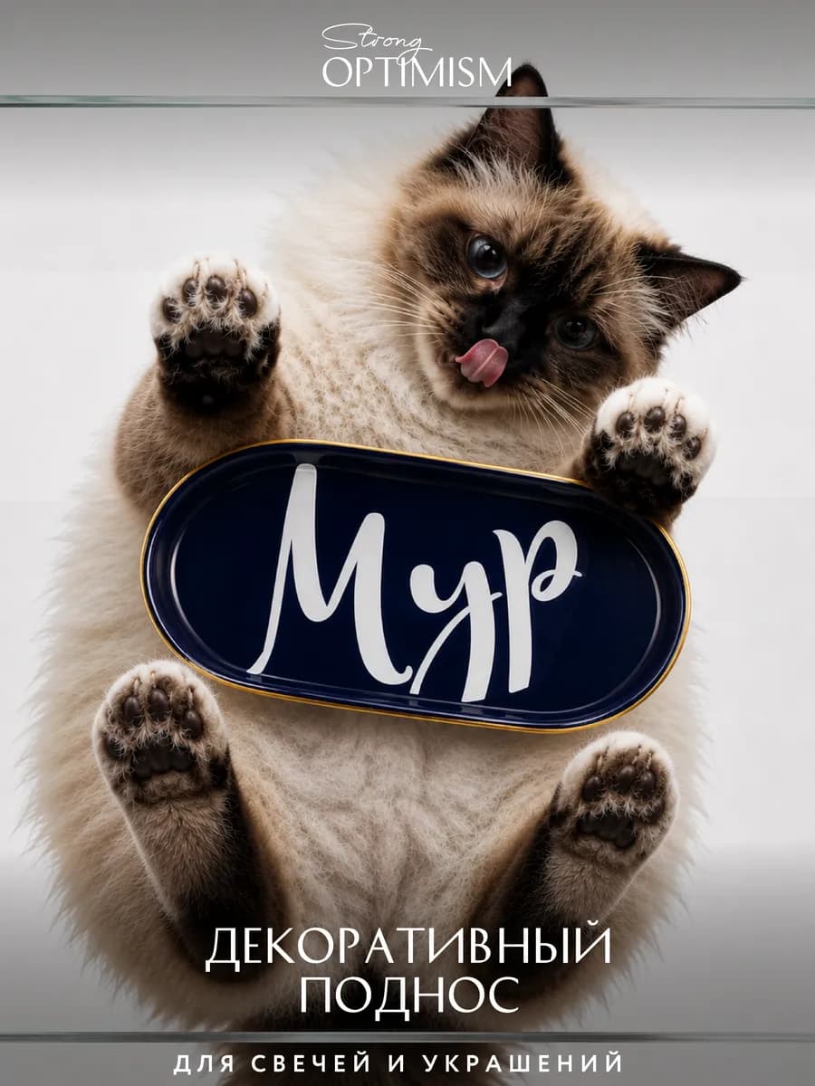 Декоративный поднос подставка Мур 19*10*2см