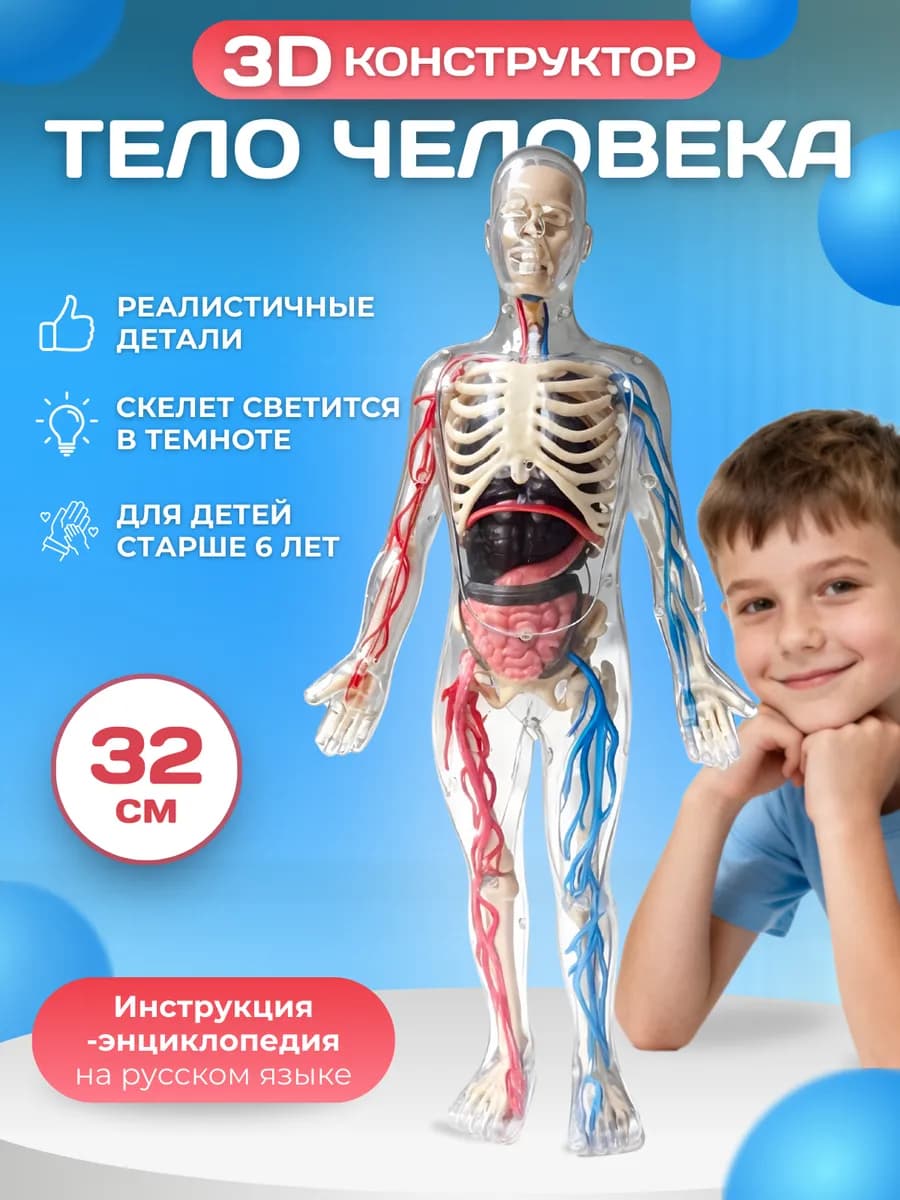 Развивающий набор конструктор тело человека