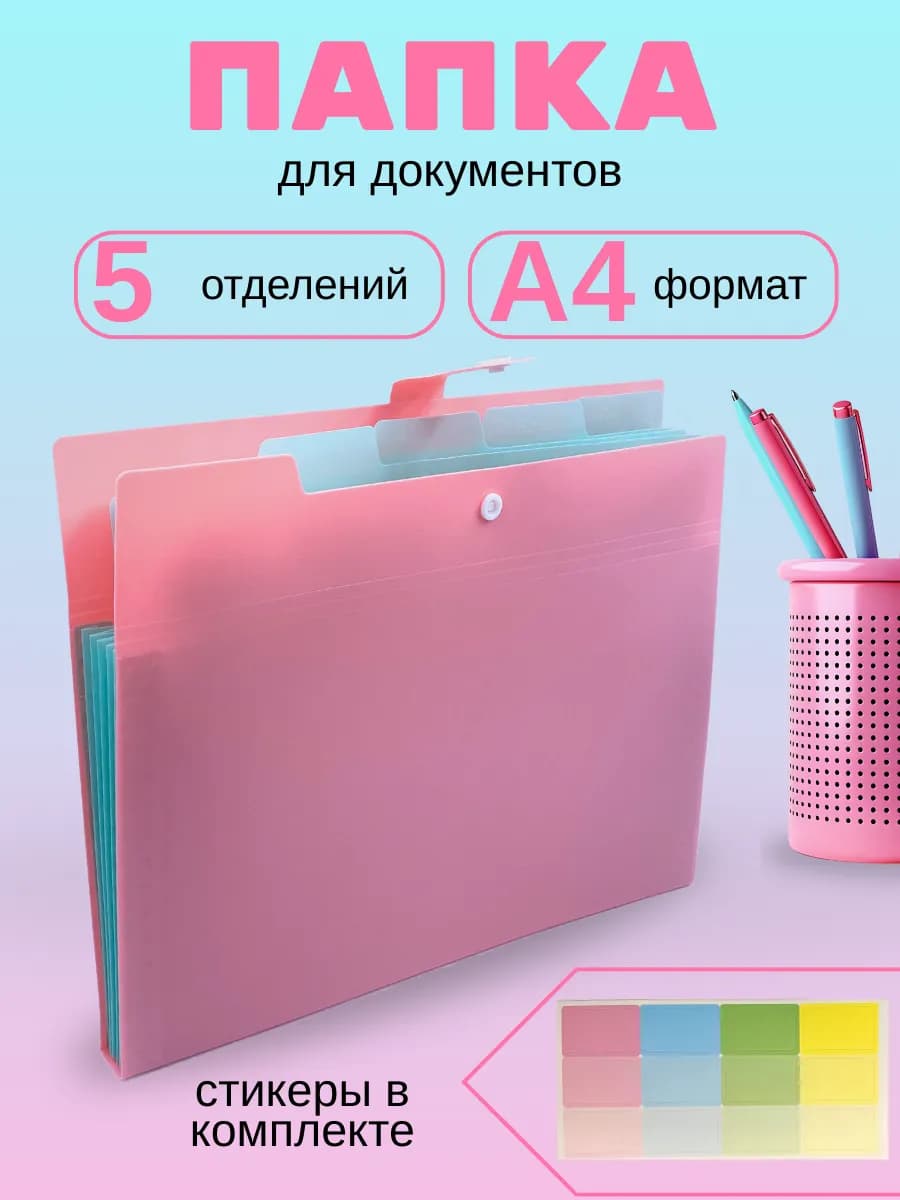 Папка для хранения документов пластиковая с отделениями А4