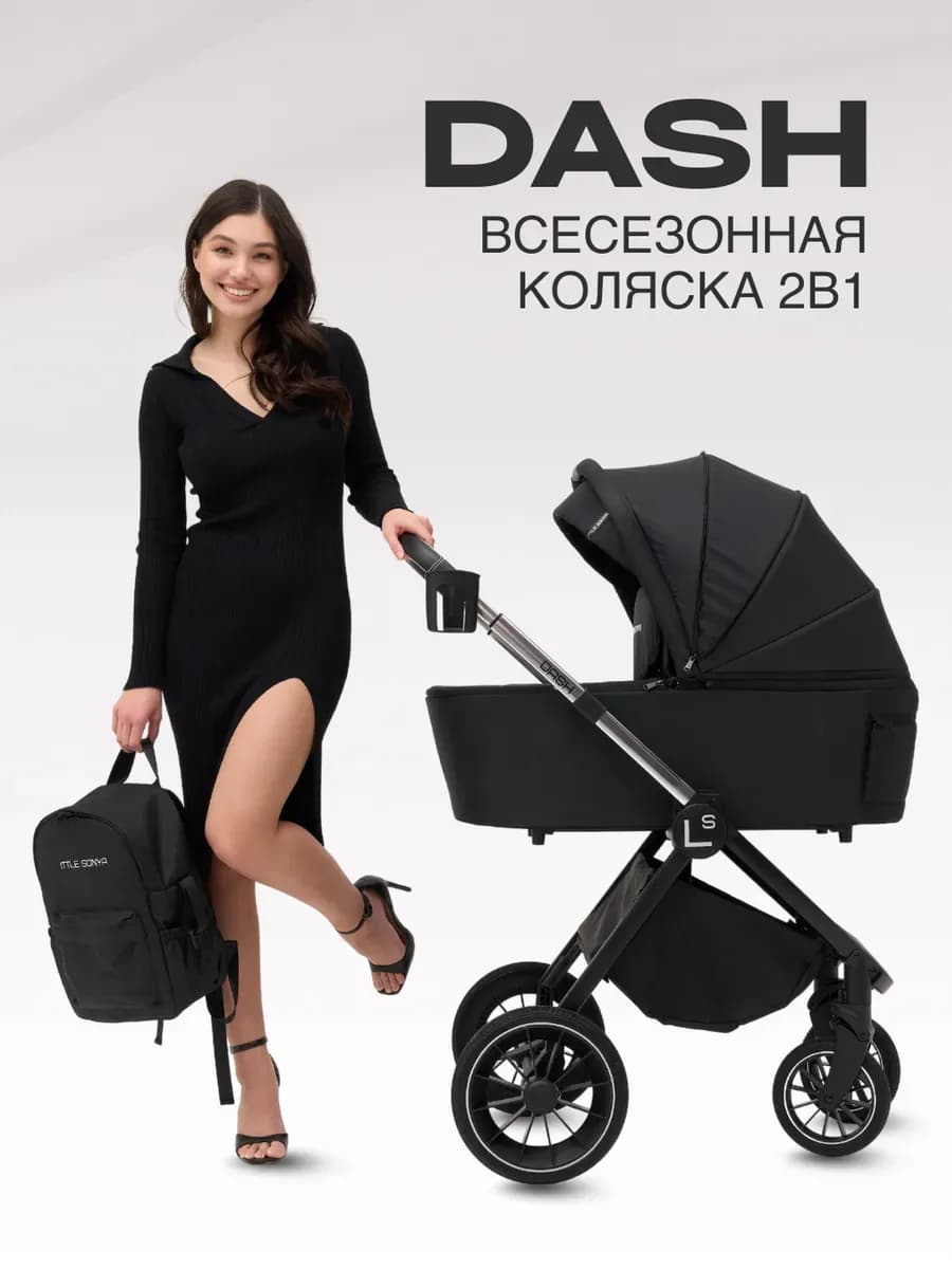 Детская коляска DASH 2в1