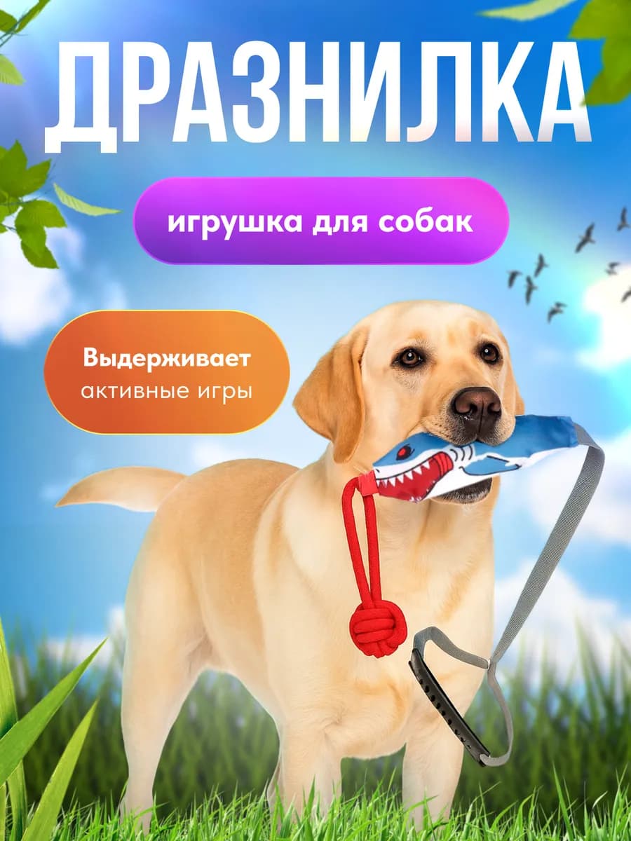 Канат-дразнилка, игрушка для собак мелких и средних пород