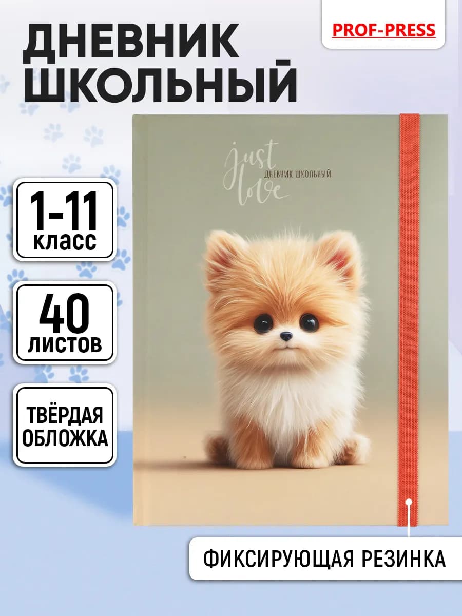 Дневник школьный для девочки 1-4 и 5-11 класс