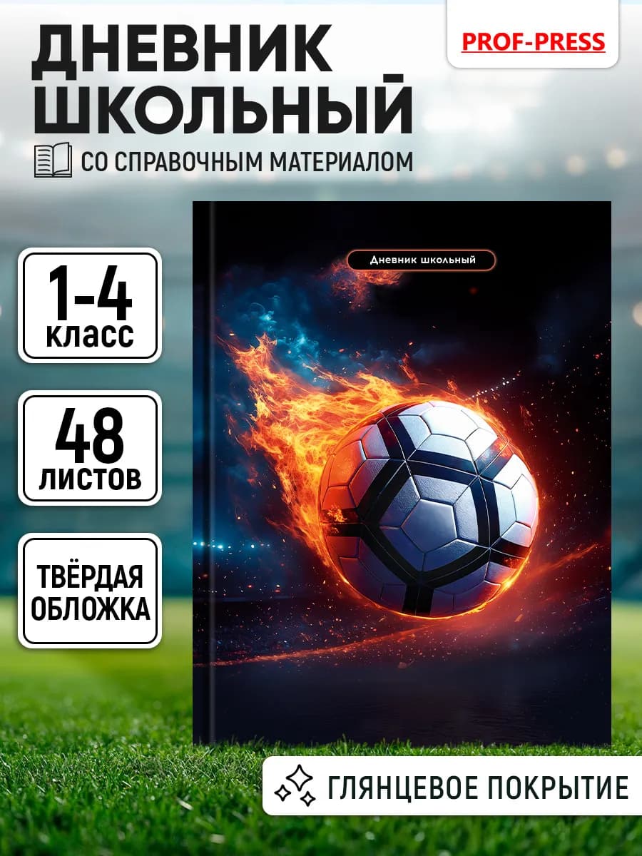 Дневник школьный для мальчика 1-4 класс