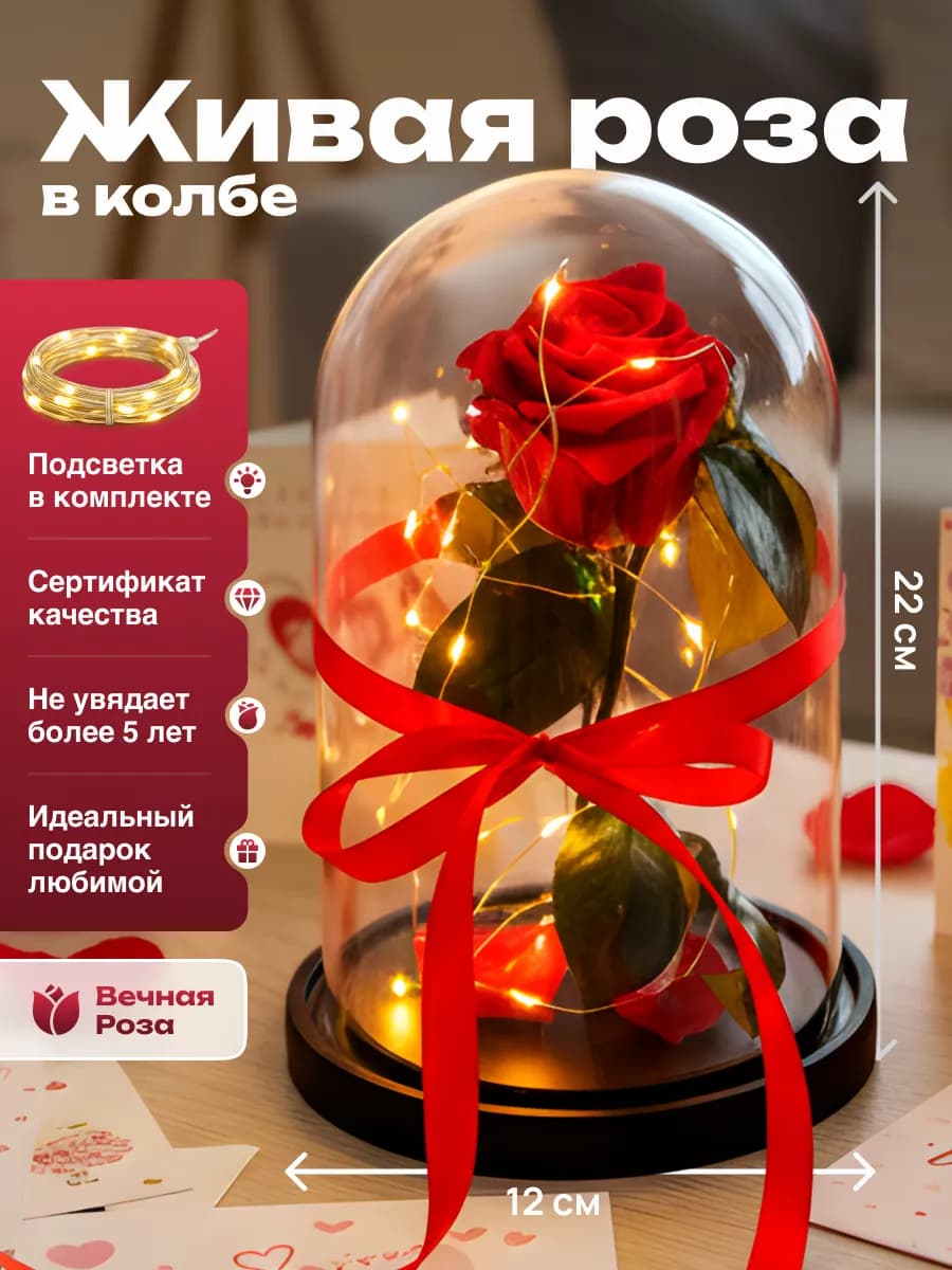 Живая роза в колбе подарок девушке