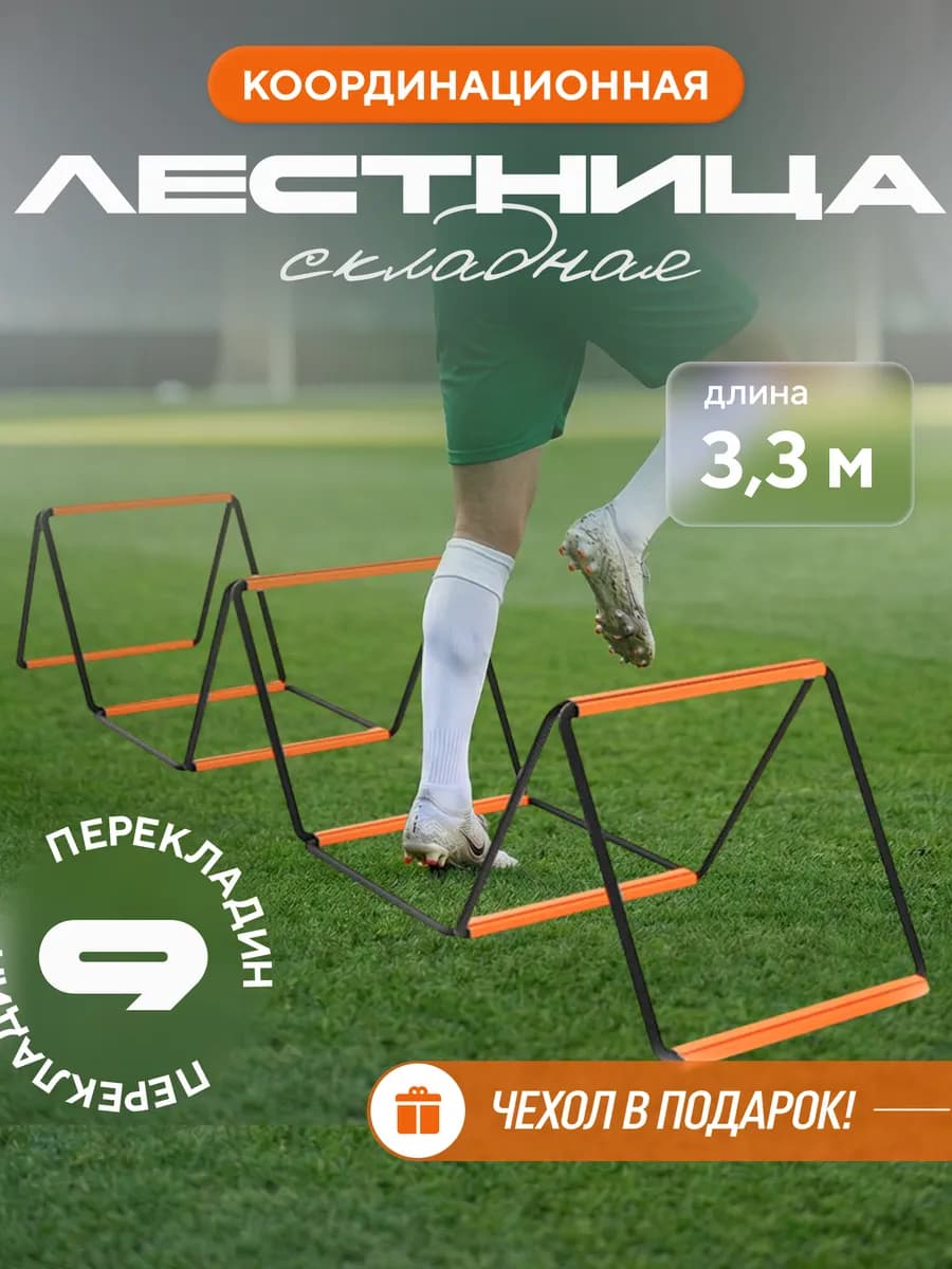 Координационная лестница