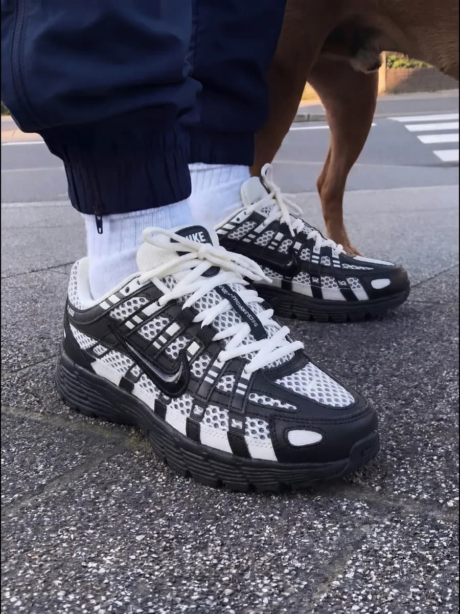 Кроссовки кеды мужские nike P-6000 спортивные