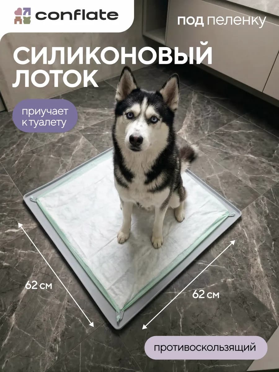 Лоток для собак под пеленку силиконовый 60*60 см