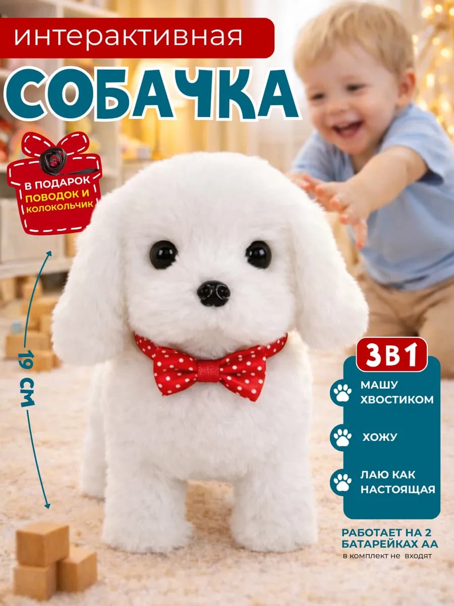 Собачка на поводке маленькая ходит