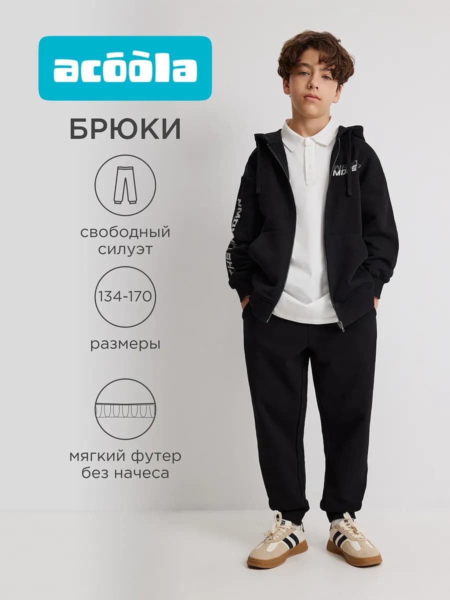 Брюки джоггеры спортивные без начеса