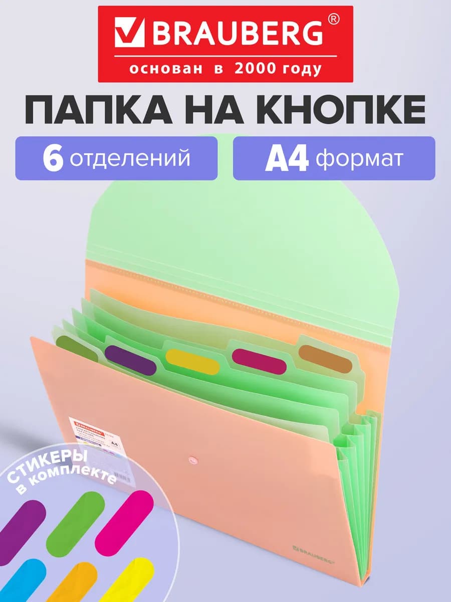 Папка для документов А4, органайзер на кнопке 6 отделений