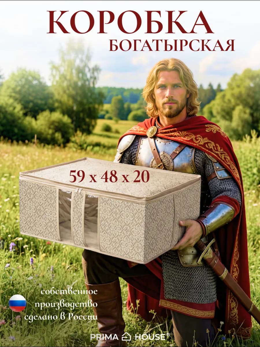Коробка (Кофр) для хранения вещей 59х48х20 см